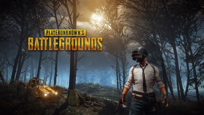 PlayerUnknown's Battlegrounds 2019 4K