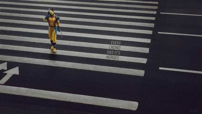 Wolverine on a crosswalk