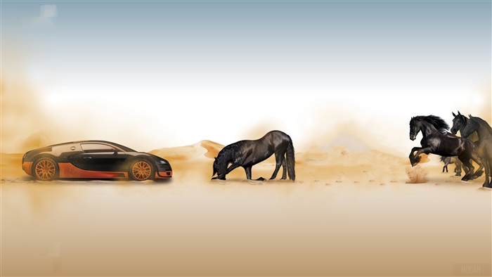 Bugatti and Horses in the Desert 4K