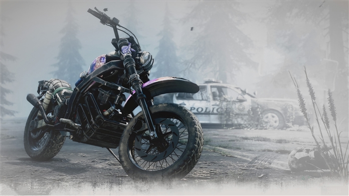 Motorcycle and Police Car in Foggy Forest