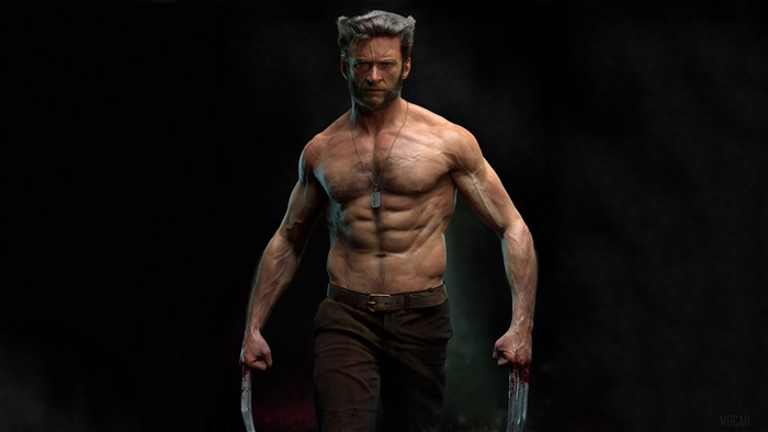 Wolverine from X-Men 4K