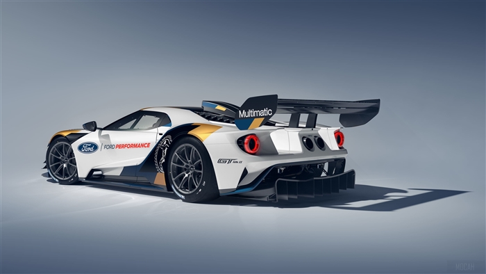 2019 Ford GT MkII Race Car Rear View 4K