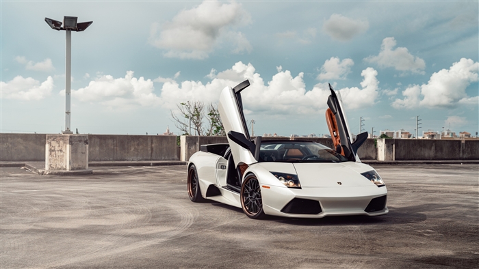 White Lamborghini Murcielago with doors open