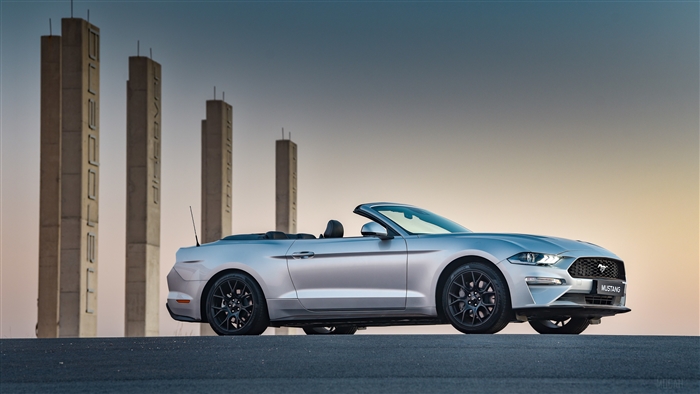 2019 Ford Mustang EcoBoost Convertible 4K
