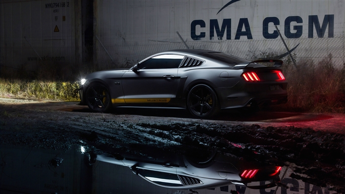 Ford Mustang GT in mud 4K