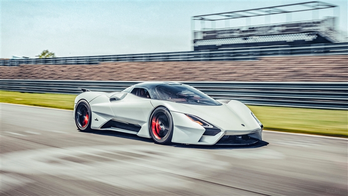 SSC TUATARA 2019