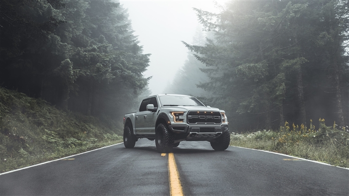 Ford Raptor 2019 4K on a Forest Road