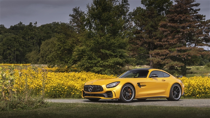 2020 Mercedes AMG GT R