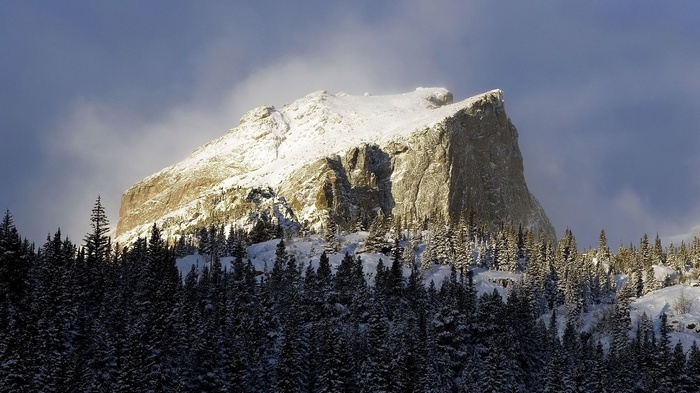 Snow-covered mountain peak above a dark forest