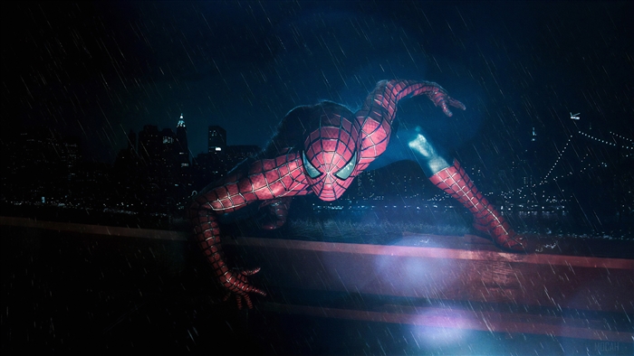 Spiderman New Cosplay