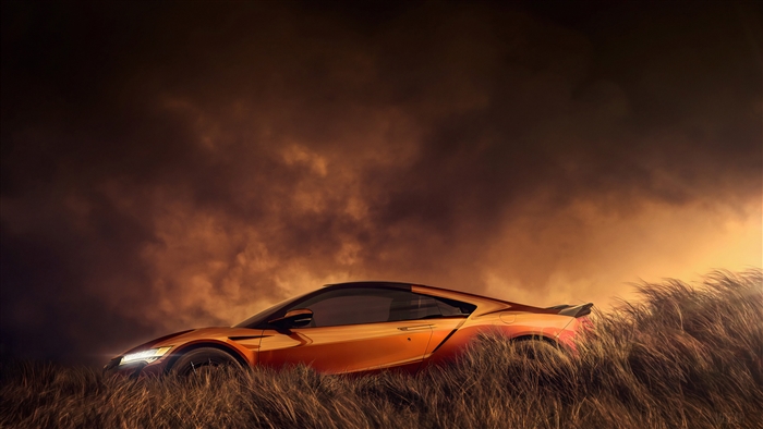 Orange Acura NSX in tall grass, 4K