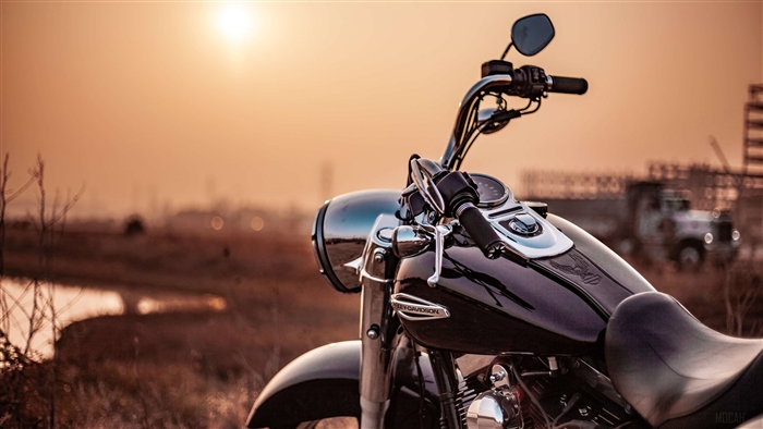 Harley Davidson Motorcycle in a Field at Sunset 4K
