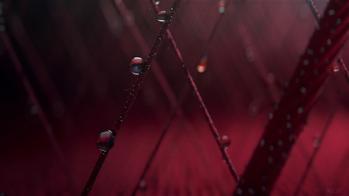 Macro shot of water droplets on red fibers