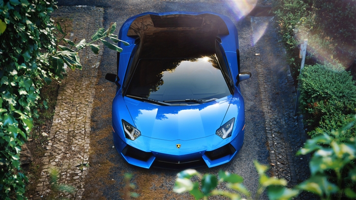 Blue Lamborghini Aventador 4K