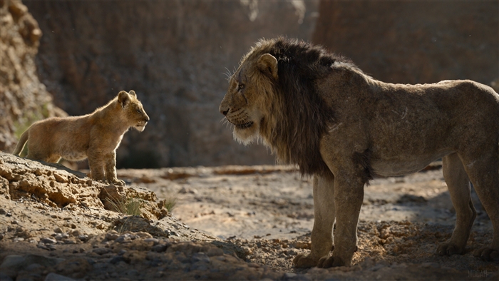 Simba and Scar from The Lion King 4K