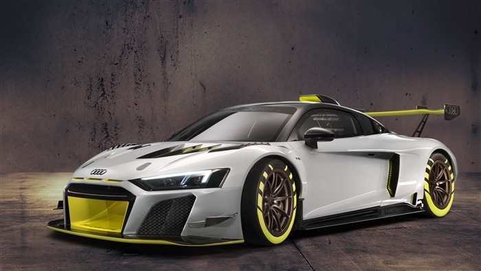 Audi R8 LMS GT2 2019