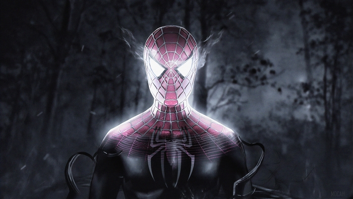 Spiderman Inside Venom