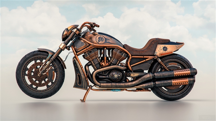 The Copper Rider