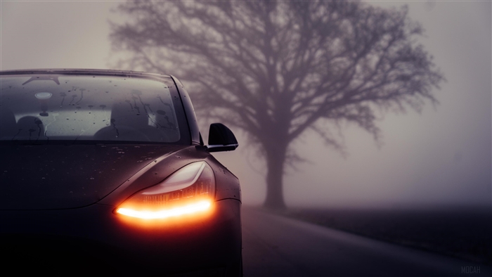 Tesla Model 3 in fog with large tree