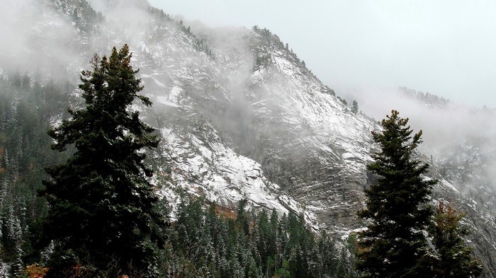 Snowy Mountain with Pine Trees and Fog