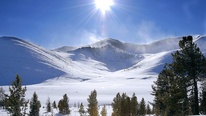 Snowy mountains under a bright sun with pine trees