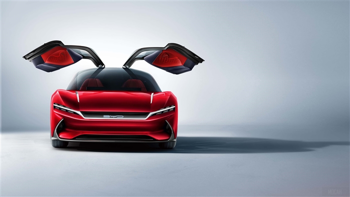 BYD EE SEED GT 2019