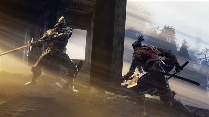 Sekiro: Shadows Die Twice artwork of two warriors fighting
