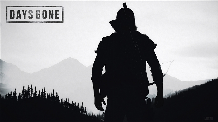 Days Gone Video Game