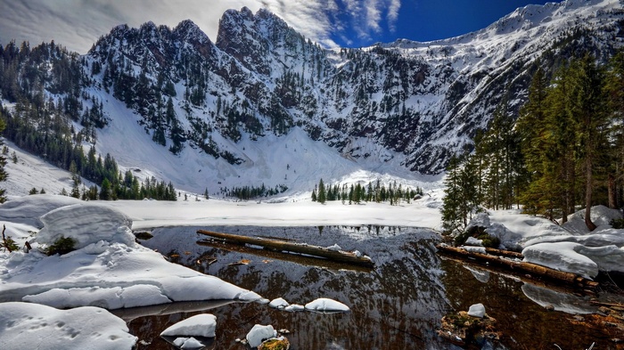 Snowy mountains reflected in a lake with logs
