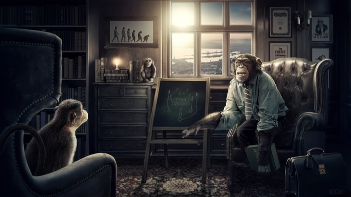 Professor Monkey