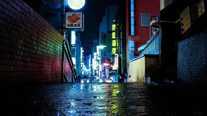 Japan Tokyo Urban Neon Lights 4K
