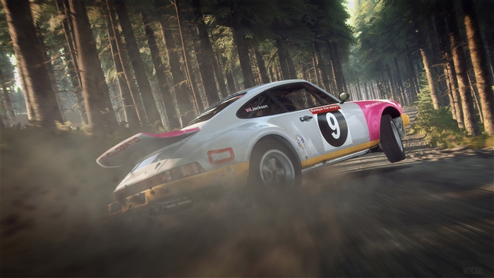 Porsche 911 rally car in Dirt Rally 2 4K
