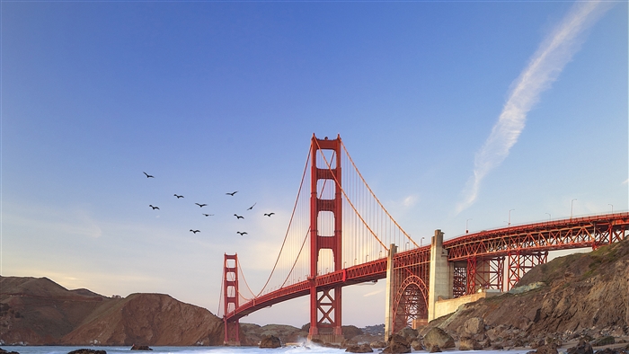 Golden Gate Bridge and Birds at Baker Beach 4K