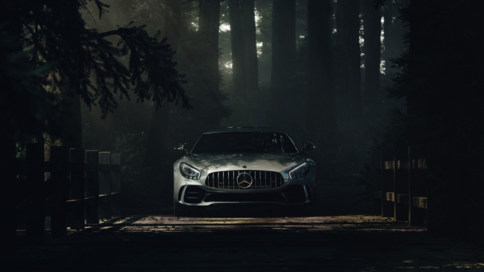 Mercedes-Benz AMG GT in a Deep Forest 4K