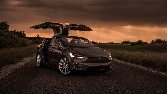 Tesla Model X with Falcon Wing Doors