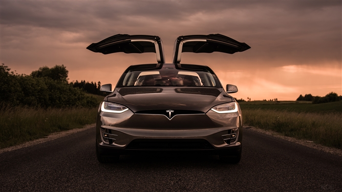 Tesla Model X with Falcon Wing Doors at Sunset