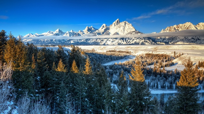 Snow-covered mountains and pine forest in winter