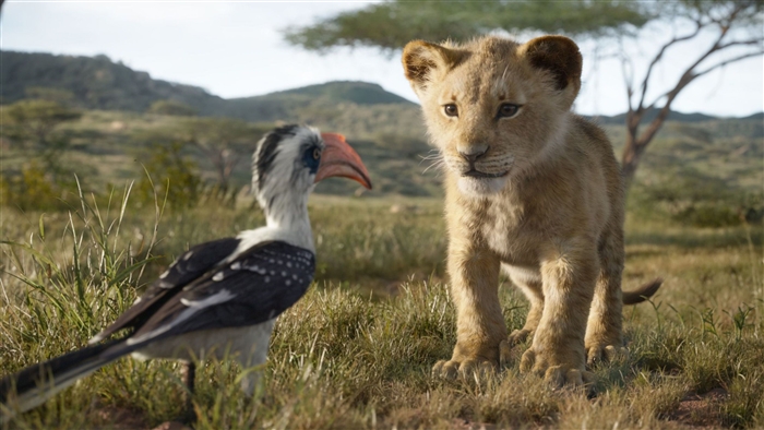 Simba from The Lion King 4K