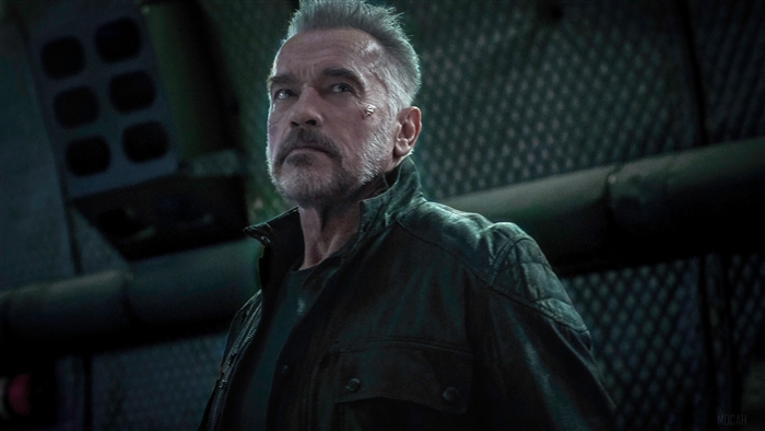 Arnold Schwarzenegger from Terminator Dark Fate 4K
