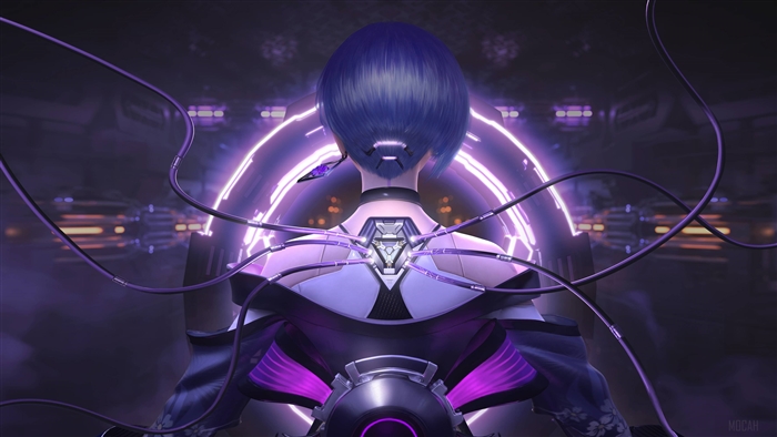 Cyber Hunter