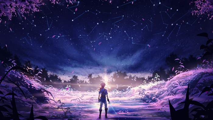 Link from The Legend of Zelda: Breath of the Wild under the stars 4K