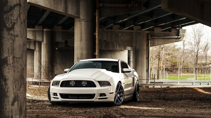 White Ford Shelby GT500 under bridge 4K