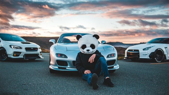 Panda Helmet Guy Sitting with Sports Cars at Sunset 4K