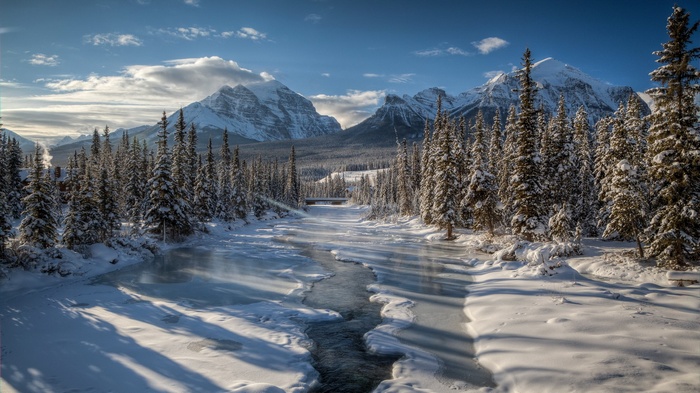 Snowy River and Mountains with Pine Trees