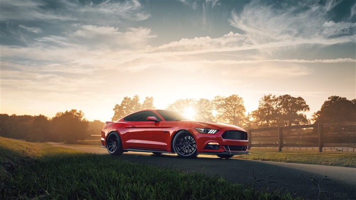 Red Ford Mustang GT 2019 4K