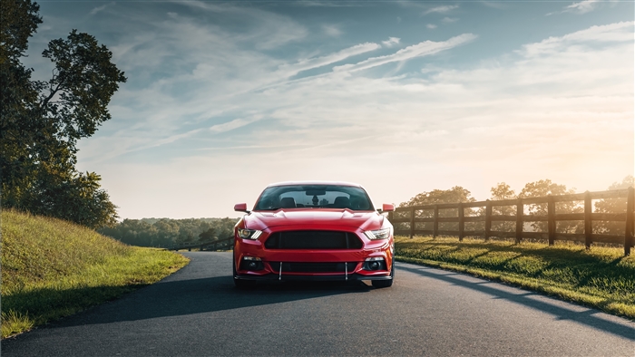 Red Ford Mustang GT on a Road