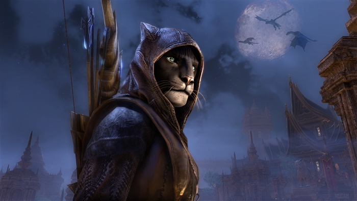 Khajiit archer from The Elder Scrolls Online Elsweyr 4K
