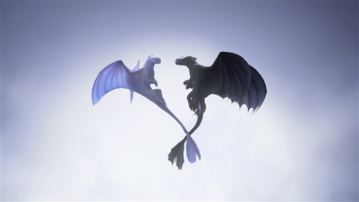Night Fury and Light Fury dragons 4K
