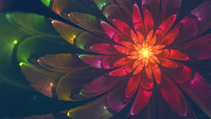 Fractal Flower