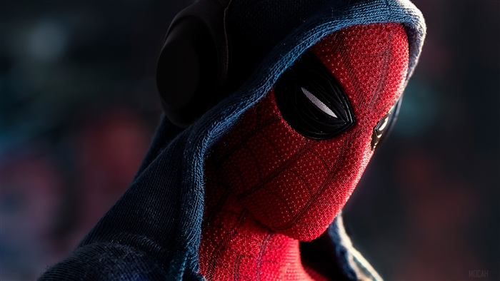 Spiderman In Hoodie